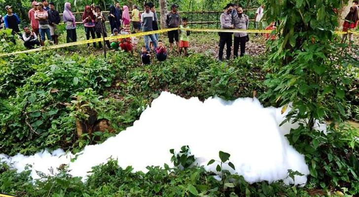Buih Putih Misterius Muncul di Kebun Warga Padang Laweh Sijunjung Sumatera Barat