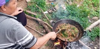 Salah seorang warga di Kecamatan Sumpur Kudus tengah memasak rendang belalang menggunakan kayu bakar