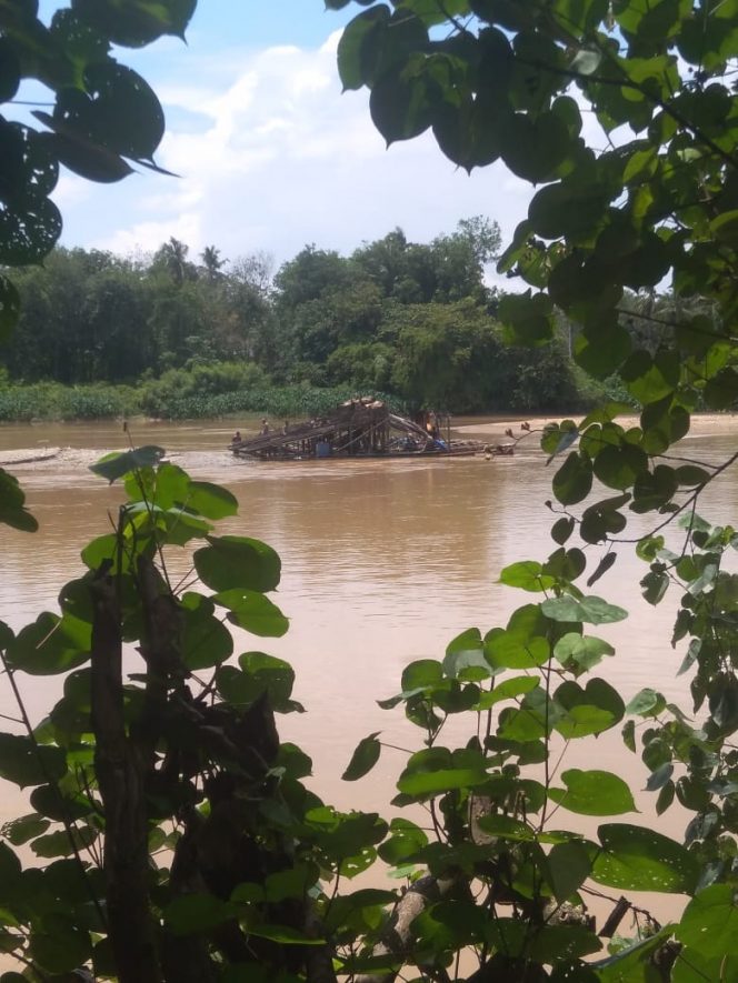 
 Aktivitas PETI di Wilayah Aliran Sungai Kuantan Desa Pulau Kalimanting Resahkan Masyarakat