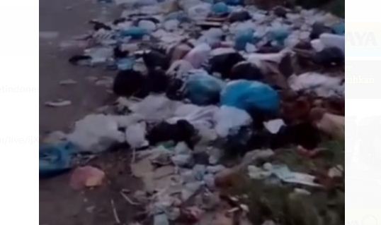 Salah satu titik lokasi tumpukan sampah di Jalan Baru belakang RSUD Sungai Dareh Kabupaten Dharmasraya, Selasa (25/04/2023). (Dok. Istimewa)