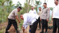 Penanaman Seribu Pohon Produktif yang Dipimpin AKBP Purwanto Hari Subekti Kapolres Sawahlunto