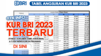 Info KUR Bank BRI 2023 untuk UMKM Cek Syarat, Dokumen, Tabel Angsuran, dan Cara Mengajukan Pinjaman