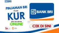 Pinjaman Bank BRI Biasa Bukan KUR untuk Nasabah, Ajukan Online lewat Aplikasi Brimo