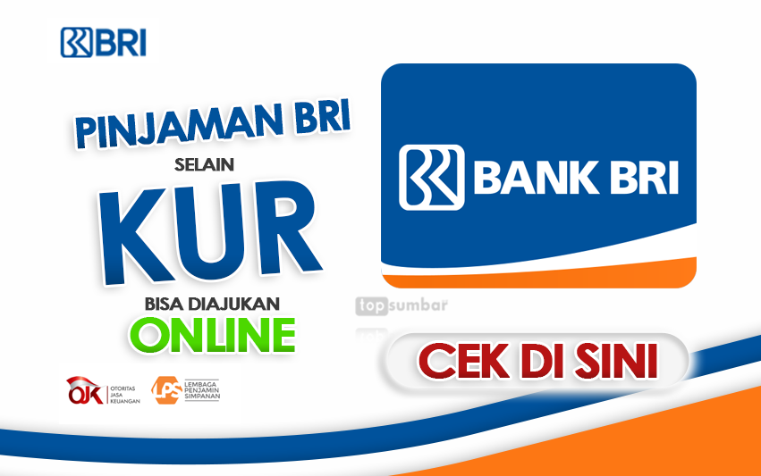 Pinjaman Bank BRI Biasa Bukan KUR untuk Nasabah, Ajukan Online lewat Aplikasi Brimo