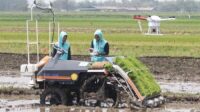 Inovasi Tanpa Batas, Kota Padang dan Kegemilangan Pertanian Masa Depan! (Foto : Dok. Istimewa)
