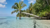 Pulau Awera, Eksotisme Tersembunyi Kepulauan Mentawai yang Wajib Kamu Kunjungi, Dijamin Tenang dan Tidak Banyak Pengunjung! (Foto : Dok. Istimewa)