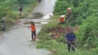 PHL Melakukan Pemotongan Rumput di Jalan Menuju Payo Untuk Melindungi Keindahan Kota Solok. (Foto: Dok.Istimewa)