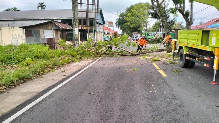 Pemangkasan Pohon Penyangga di Sepanjang Jalan Banda Panduang
