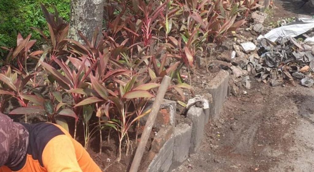 Penanaman Bunga di Taman Partisipan Simpang Sigege